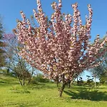 Lägenhet Bella Collina *